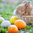 [mdrt9 live #206 liquid dnb] =2025 April 20 EASTER= Every SUNday mornINg