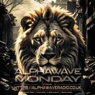 alphawave mondays 11/11/2024 .
