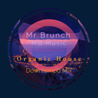 Organic House Downtempo Mix Vol 23