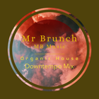 Organic House Downtempo Mix Vol 18