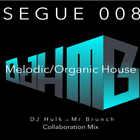 Collab Mix (DJ Hulk-Mr Brunch) - SEGUE008