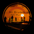 Organic House Downtempo Mix Vol 21