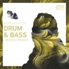 Drum & Bass • Looking for diversion