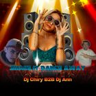 Dj Chiry B2B Dj Ann - Shake it Dance Away ( April 2024 Promotional Mix )