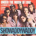 GOLDEN YEARS 98 WITH SHOWADDYWADDY'S DAVE BARTRAM