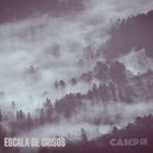 Escala de Grisos / 01st July 2025