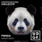 pwnda - pwnda - Sunday Beats - Reshaping existence to suit the narrative (UDGK: 08/12/2024)