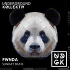 pwnda - pwnda - Sunday Beats - Downtime calls (UDGK: 29/06/2025)
