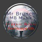 Organic House/Downtempo Mix - Vol 30