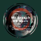 Organic House/Downtempo Mix - Vol 31