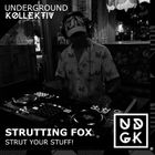 Strutting Fox - Strut Your Tempo Stuff! (UDGK: 16/02/2025)