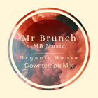 Organic House Downtempo Mix Vol 14