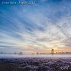 Deep Licks - August 2023