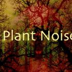 Plant Noise / 01st July 2025