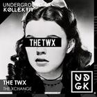 The TWX - The Xchange with The TWX - January 11 2025 (UDGK: 11/01/2025)