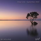 Deep Licks - September 2023