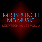 Deep Tech House  - Vol 30