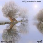 Deep Licks - March 2023
