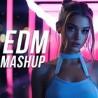 DJ MARINOS: MASHUP MAYHEM VOL.2 (TECH-HOUSE & CLUB DESTROYERS – EVEN LOUDER!)