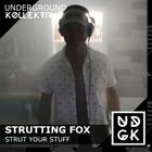 Strutting Fox - Strut Your Stuff! (UDGK: 19/01/2025)