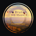 Organic House/Downtempo Mix Vol 29