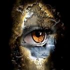 VISIONS