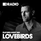 Defected In The House Radio - 6.1.14 - Guest Mix Lovebirds
