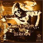 LET'S COOK THE MUSIC PRESENTS CRAZY CROW B2B DJ RAVEN