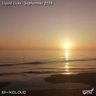 Liquid Licks - September 2024