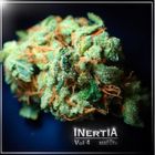 INERTIA Vol 4