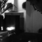 Organic Music Tokyo w/ Chee Shimizu - 23rd April 2025