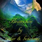 Flowmotion ( radar & botolinus)