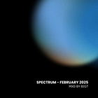 Spectrum - Mxd by BigT (Feb2025)