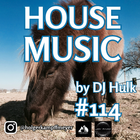 Pony - Club / Tech / Deep / Tribal House Mix#114