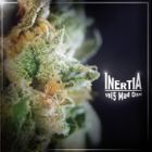 INERTIA Vol 5