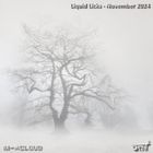 Liquid Licks - November 2024