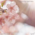 Liquid Licks - April 2023