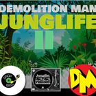 JUNGLIFE 2