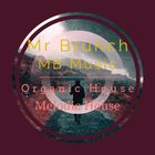 Organic House/Melodic House Mix - Vol 33