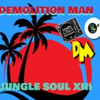 JUNGLESOUL 13