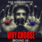 SAFE AUDIO B2B FEEVA - WHY CHOOSE RD25