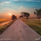 Liquid Licks - June 2023 (unfolding)