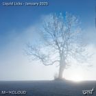 Liquid Licks - January 2025
