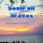 SoulFull Waves #46 (DiscoHouse 2022......)