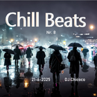 ""Chill Beats "" nr.8   chillout & lounge compilation