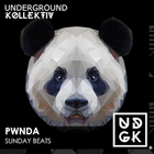 pwnda - pwnda - Sunday Beats - New Year Special - Sean Michael B2B (UDGK: 29/12/2024)