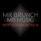 Deep Tech House Mix - Vol 12