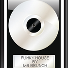 Funky House Vol 15
