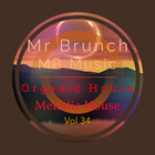 Organic House/Melodic House Mix - Vol 34