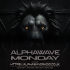 Alphawave Mondays 25112024